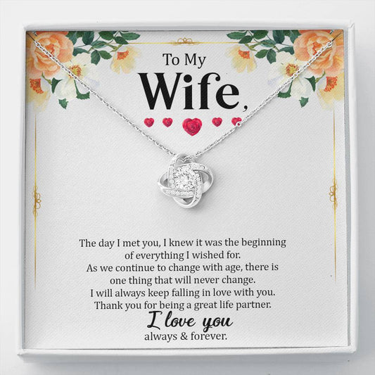 Wife - The Day I Met You